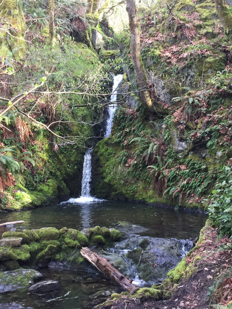 Matheson Lake PT 347 – Victoria Pathfinders Walking Club